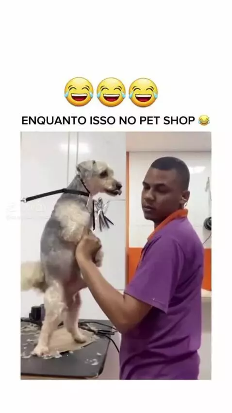 Prévia da publicação de pixote