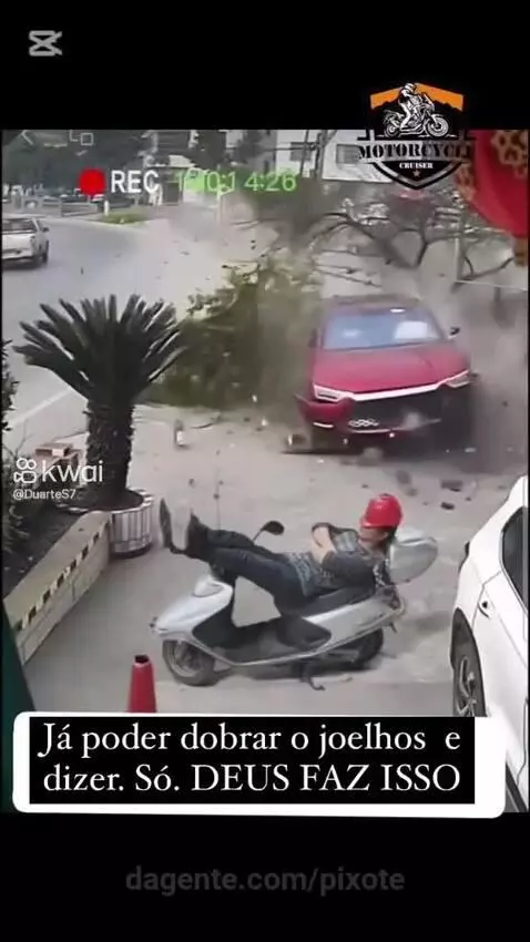 Prévia da publicação de pixote