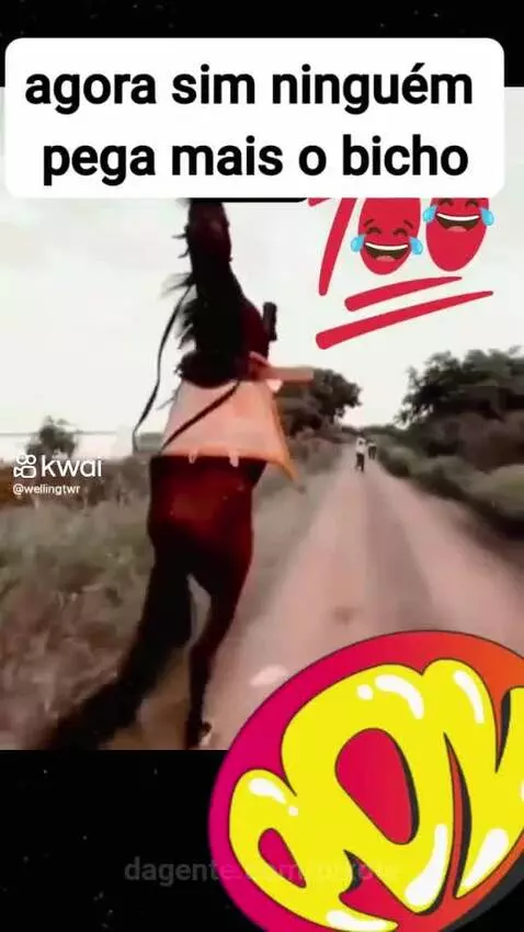 Prévia da publicação de pixote