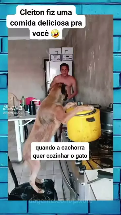 Prévia da publicação de pixote