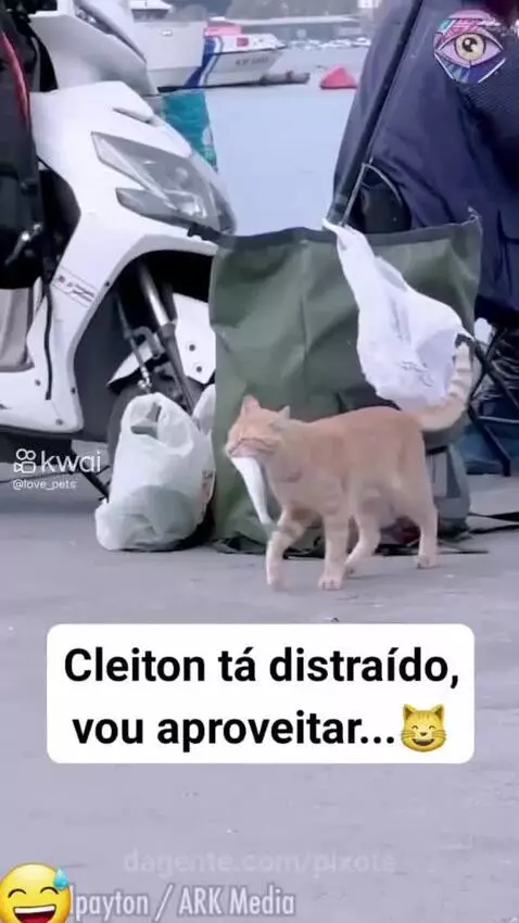 Prévia da publicação de pixote