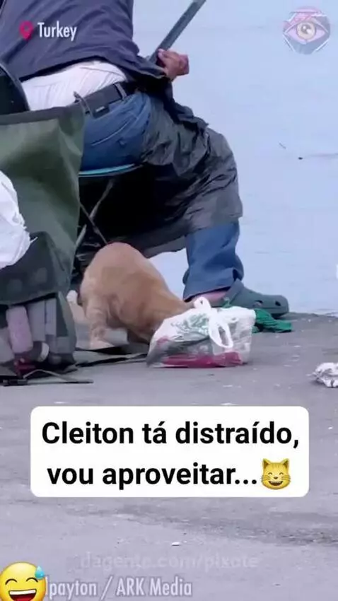 video poster