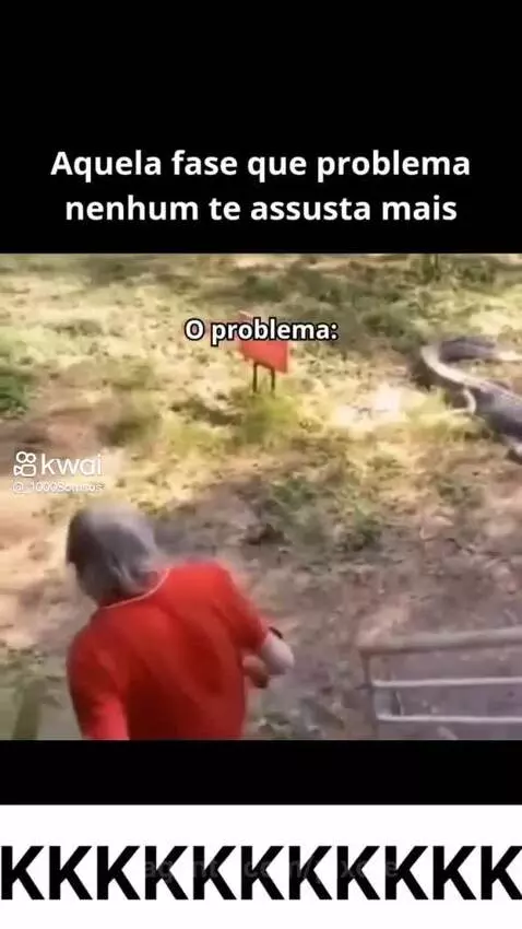 Prévia da publicação de pixote