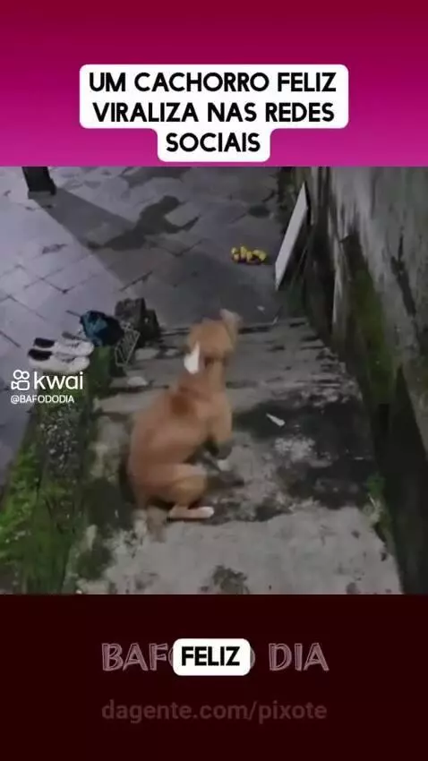 Prévia da publicação de pixote