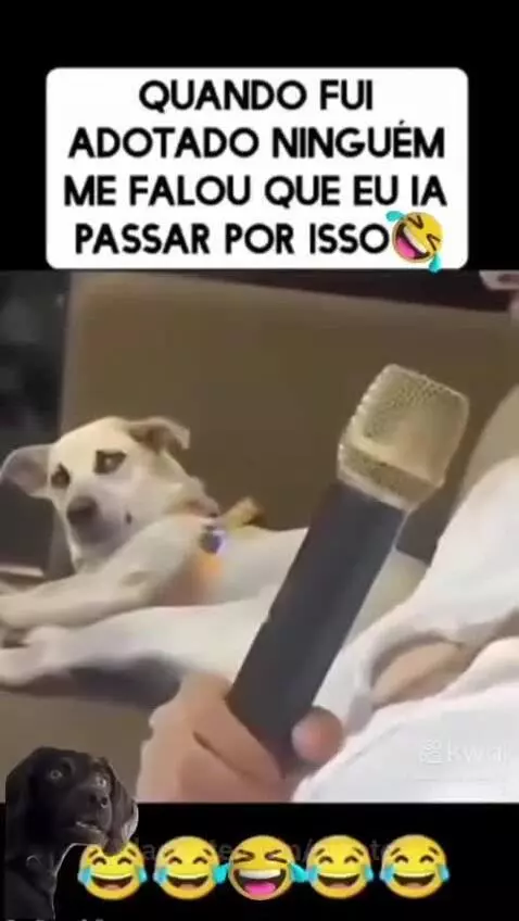 Prévia da publicação de pixote