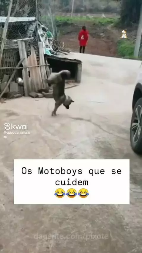 Prévia da publicação de pixote
