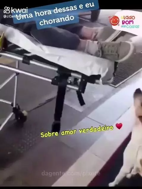 Prévia da publicação de pixote