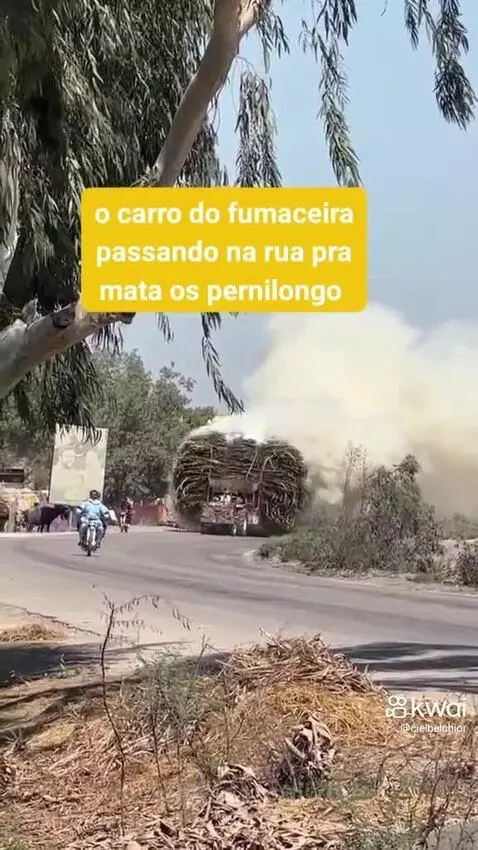Prévia da publicação de pixote