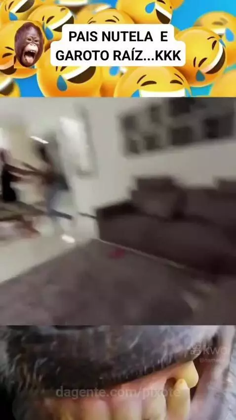 Prévia da publicação de pixote
