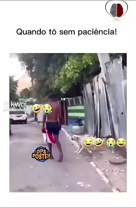 Prévia da publicação de pixote