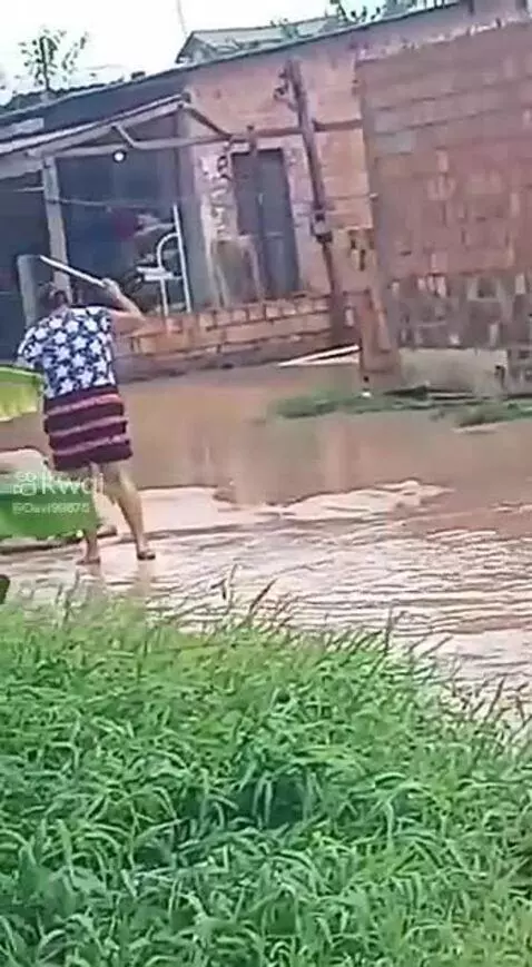 Prévia da publicação de pixote