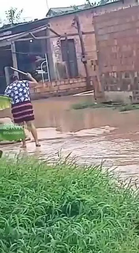 Prévia da publicação de pixote