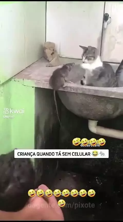 Prévia da publicação de pixote