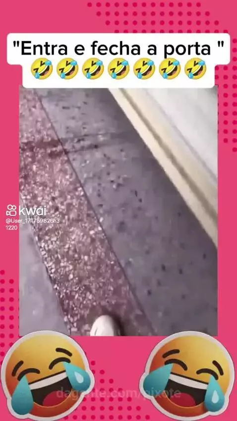 Prévia da publicação de pixote