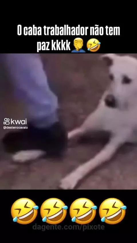 Prévia da publicação de pixote