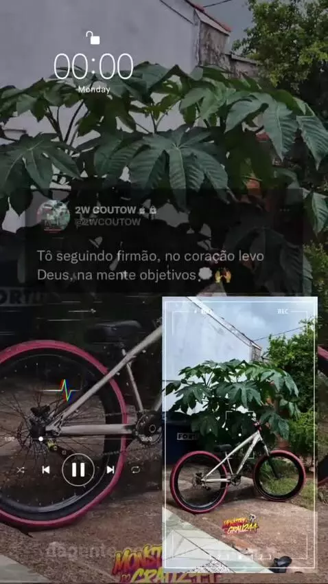 Prévia da publicação de monstrograu