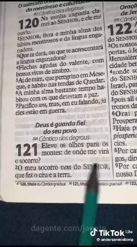 Prévia da publicação de janete