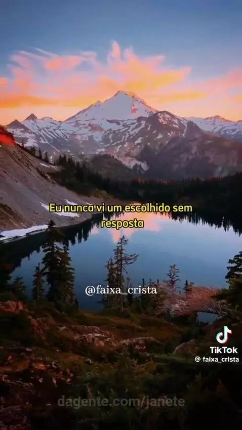 Prévia da publicação de janete