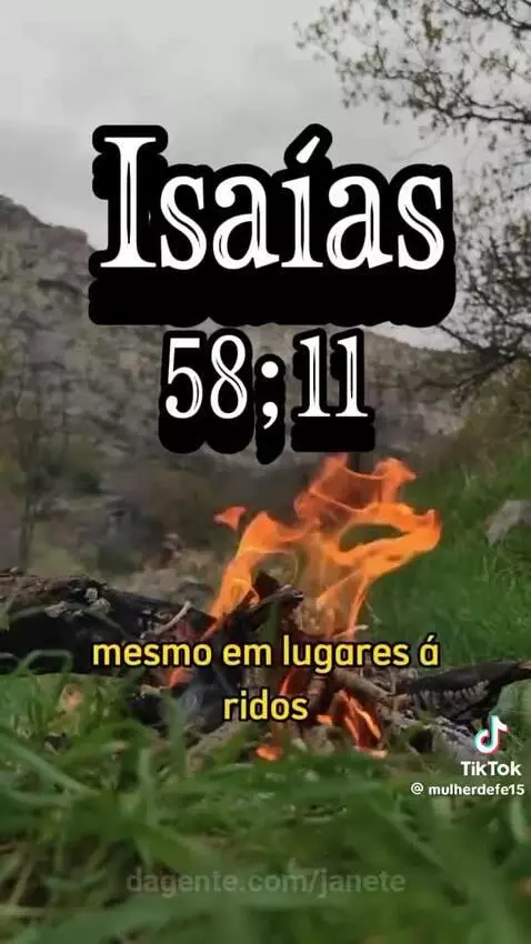 Prévia da publicação de janete