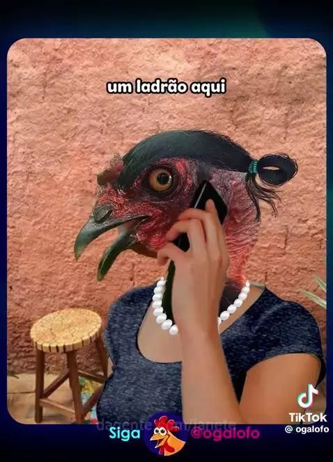 Prévia da publicação de janete