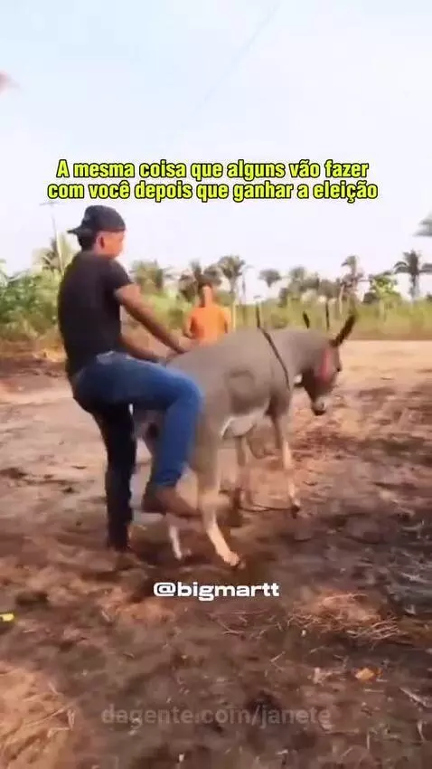 Prévia da publicação de janete