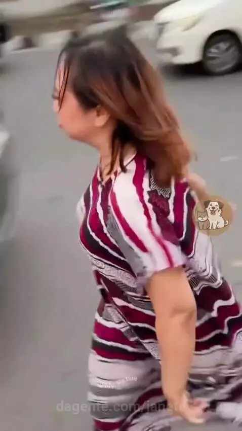 Prévia da publicação de janete
