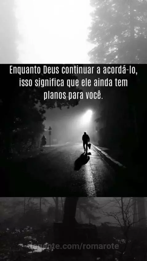 Prévia da publicação de romarote