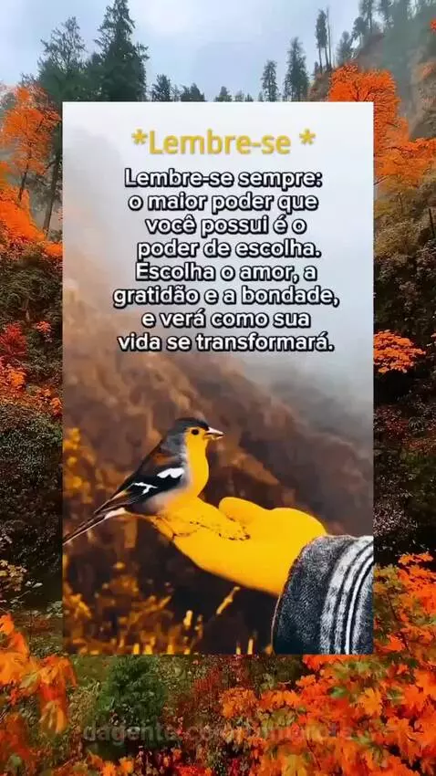video poster