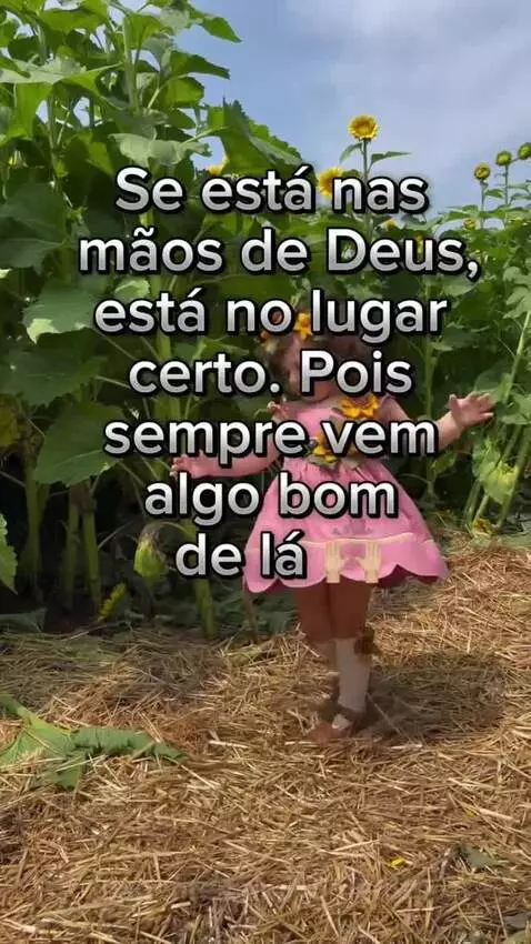 Prévia da publicação de romarote