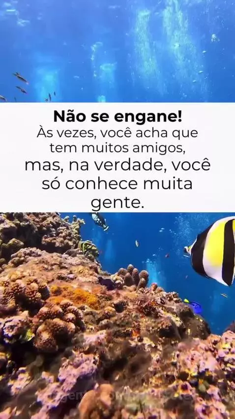 Prévia da publicação de romarote
