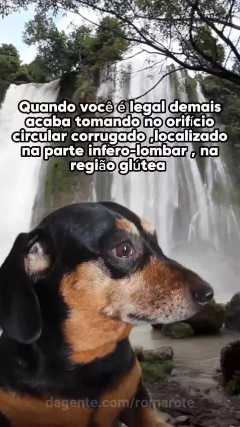 Prévia da publicação de romarote