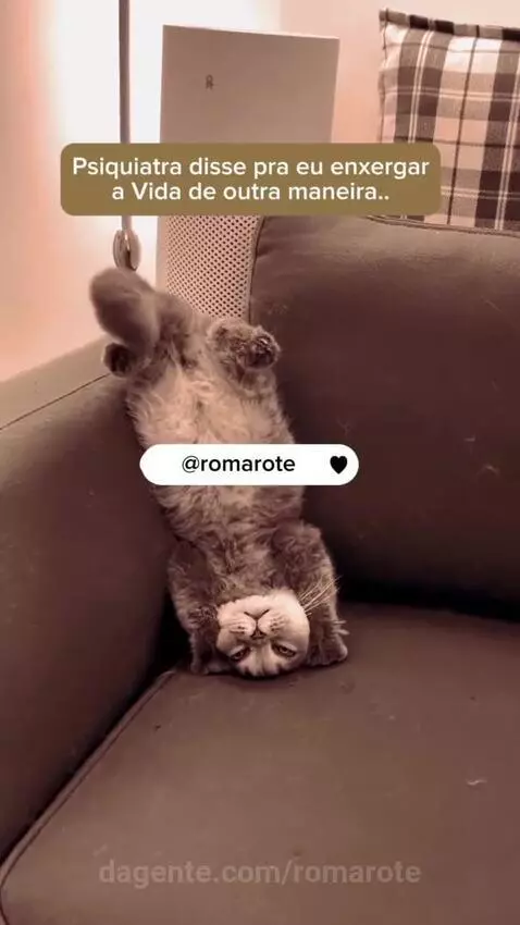 Prévia da publicação de romarote