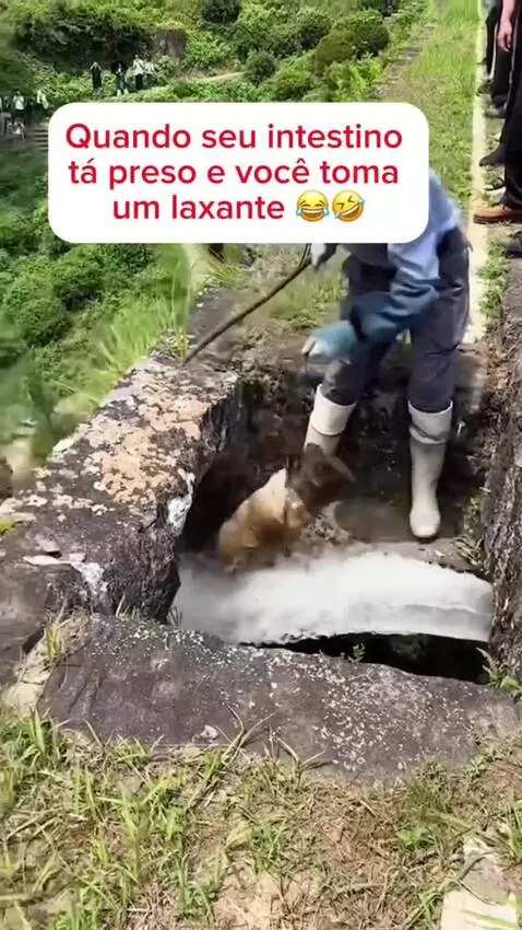 Prévia da publicação de romarote