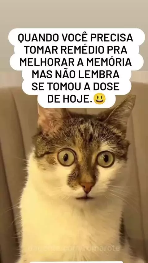 Prévia da publicação de romarote