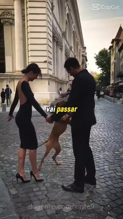Prévia da publicação de vinte9