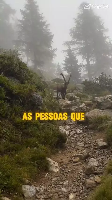 Prévia da publicação de vinte9