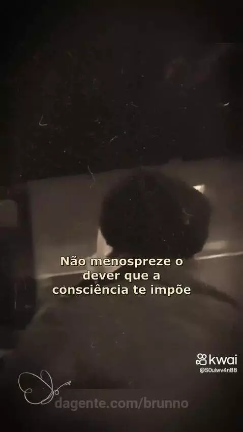 Prévia da publicação de brunno