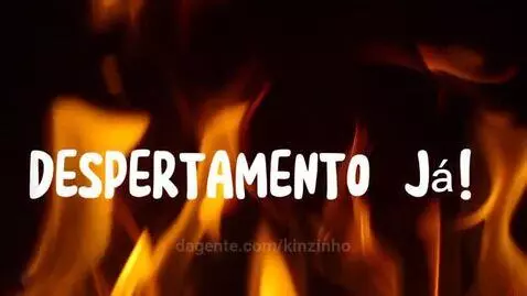 Prévia da publicação de kinzinho