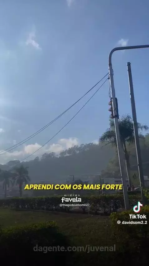Prévia da publicação de juvenal