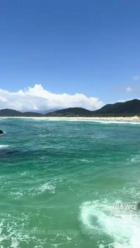 Prévia da publicação de mariaaparecida