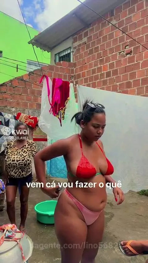 Prévia da publicação de lino5682