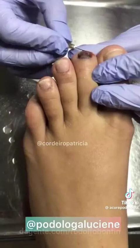 Prévia da publicação de rodolfobonfin