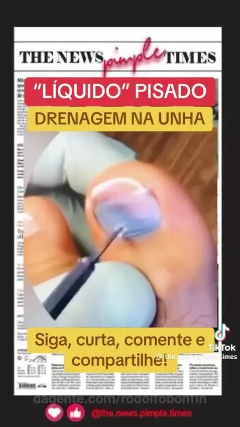 Prévia da publicação de rodolfobonfin
