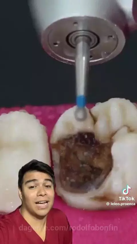 Prévia da publicação de rodolfobonfin