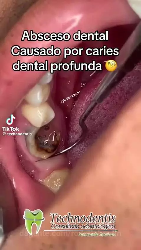 Prévia da publicação de rodolfobonfin