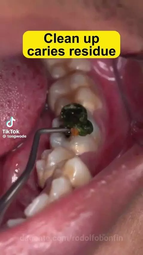 Prévia da publicação de rodolfobonfin