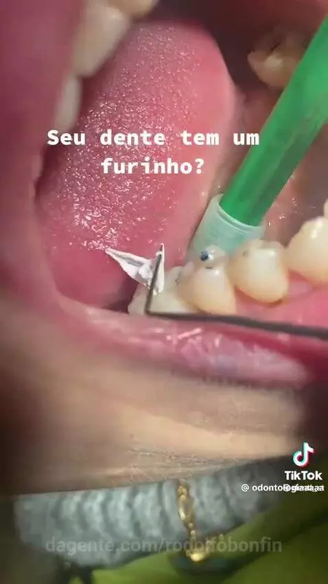 Prévia da publicação de rodolfobonfin