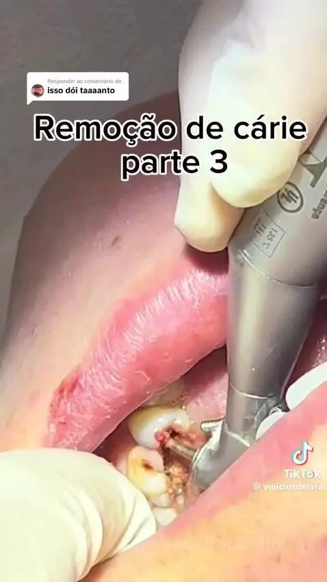 Prévia da publicação de rodolfobonfin