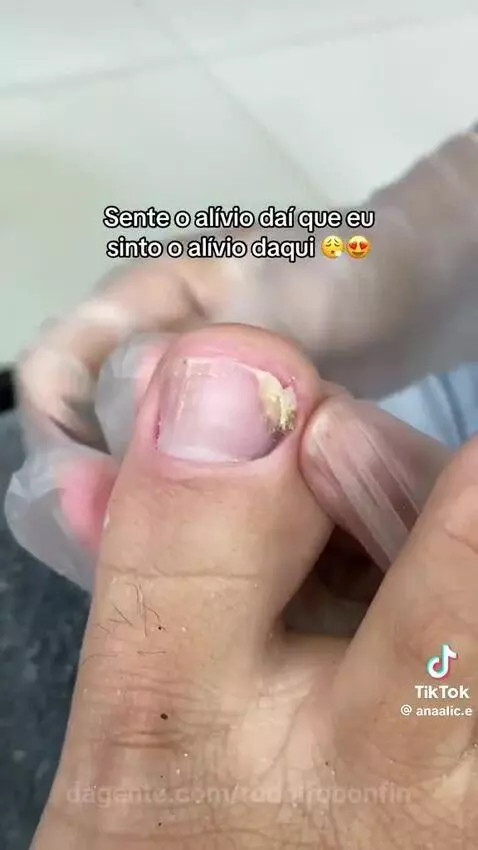 Prévia da publicação de rodolfobonfin