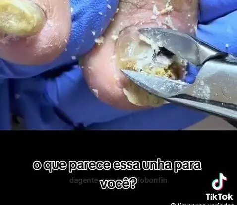 Prévia da publicação de rodolfobonfin